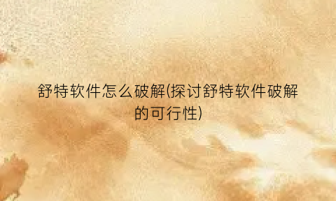 舒特软件怎么破解(探讨舒特软件破解的可行性)