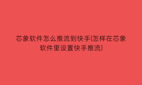 芯象软件怎么推流到快手(怎样在芯象软件里设置快手推流)