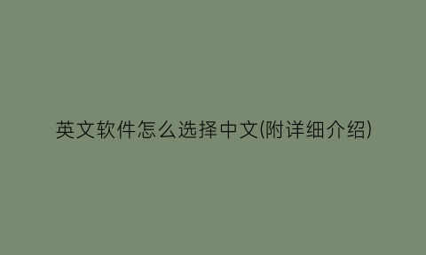 “英文软件怎么选择中文(附详细介绍)