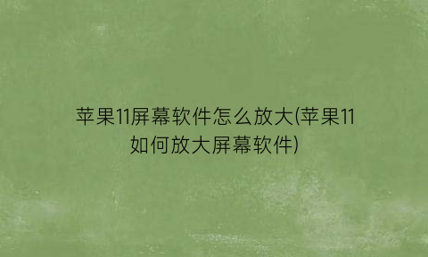苹果11屏幕软件怎么放大(苹果11如何放大屏幕软件)