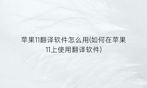“苹果11翻译软件怎么用(如何在苹果11上使用翻译软件)