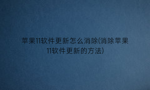 苹果11软件更新怎么消除(消除苹果11软件更新的方法)