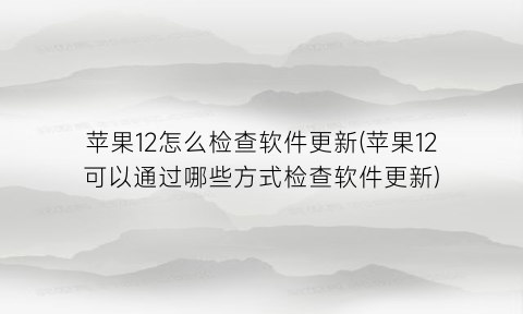 “苹果12怎么检查软件更新(苹果12可以通过哪些方式检查软件更新)