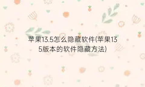 苹果13.5怎么隐藏软件(苹果135版本的软件隐藏方法)