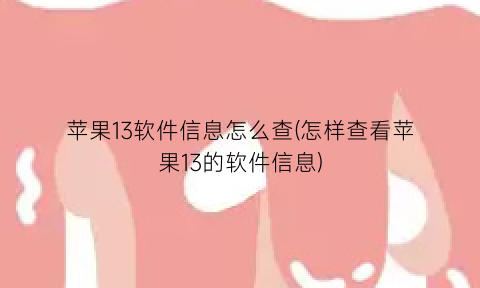 苹果13软件信息怎么查(怎样查看苹果13的软件信息)