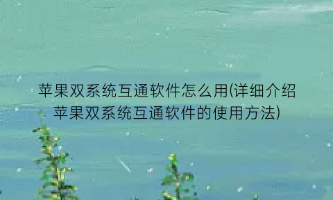 苹果双系统互通软件怎么用(详细介绍苹果双系统互通软件的使用方法)