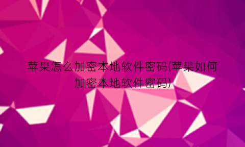 苹果怎么加密本地软件密码(苹果如何加密本地软件密码)