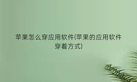 苹果怎么穿应用软件(苹果的应用软件穿着方式)