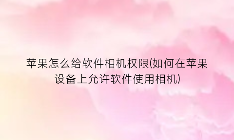 苹果怎么给软件相机权限(如何在苹果设备上允许软件使用相机)