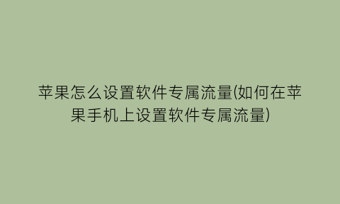 “苹果怎么设置软件专属流量(如何在苹果手机上设置软件专属流量)