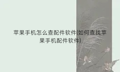 苹果手机怎么查配件软件(如何查找苹果手机配件软件)