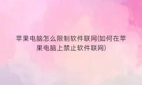 苹果电脑怎么限制软件联网(如何在苹果电脑上禁止软件联网)