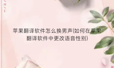 苹果翻译软件怎么换男声(如何在苹果翻译软件中更改语音性别)