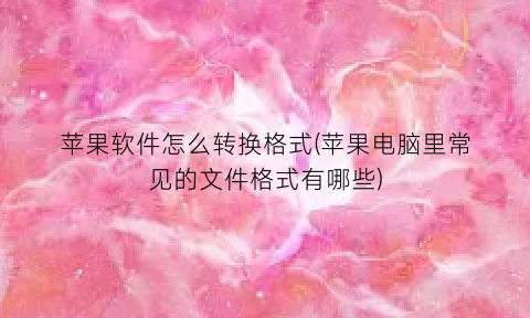 “苹果软件怎么转换格式(苹果电脑里常见的文件格式有哪些)