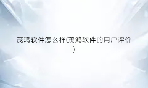 “茂鸿软件怎么样(茂鸿软件的用户评价)