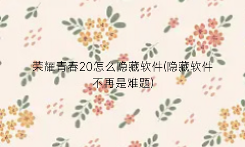 荣耀青春20怎么隐藏软件(隐藏软件不再是难题)