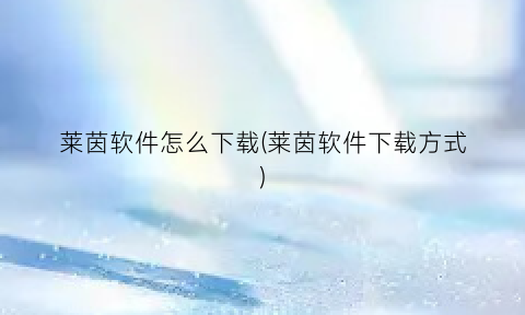“莱茵软件怎么下载(莱茵软件下载方式)