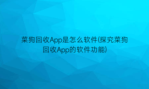 菜狗回收App是怎么软件(探究菜狗回收App的软件功能)