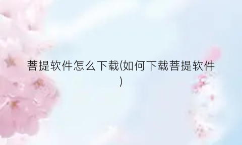 菩提软件怎么下载(如何下载菩提软件)