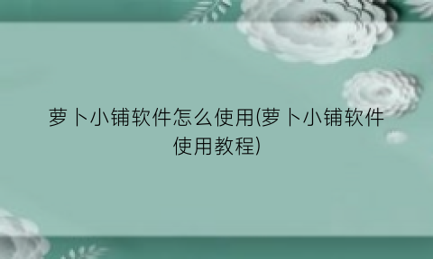“萝卜小铺软件怎么使用(萝卜小铺软件使用教程)