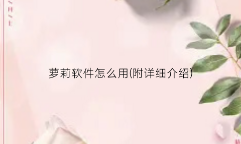 萝莉软件怎么用(附详细介绍)