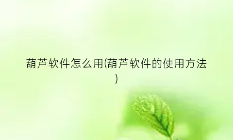 “葫芦软件怎么用(葫芦软件的使用方法)