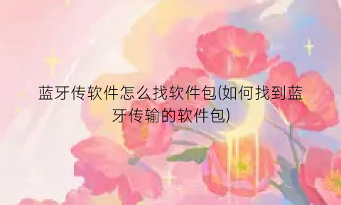 蓝牙传软件怎么找软件包(如何找到蓝牙传输的软件包)