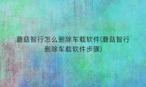 “蘑菇智行怎么删除车载软件(蘑菇智行删除车载软件步骤)