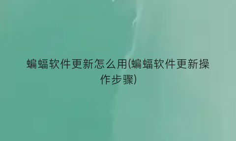 “蝙蝠软件更新怎么用(蝙蝠软件更新操作步骤)