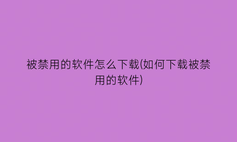 被禁用的软件怎么下载(如何下载被禁用的软件)