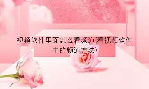 视频软件里面怎么看频道(看视频软件中的频道方法)
