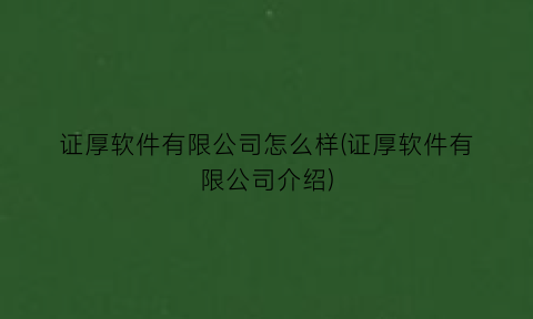 证厚软件有限公司怎么样(证厚软件有限公司介绍)