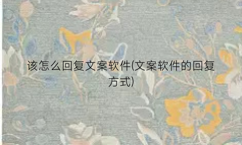 “该怎么回复文案软件(文案软件的回复方式)