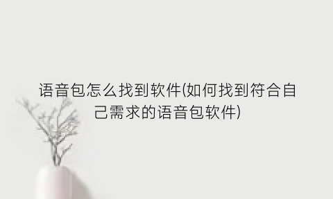 “语音包怎么找到软件(如何找到符合自己需求的语音包软件)