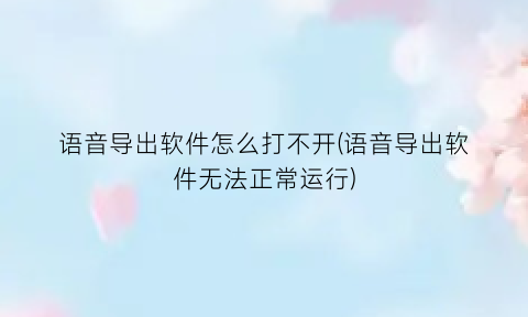 语音导出软件怎么打不开(语音导出软件无法正常运行)