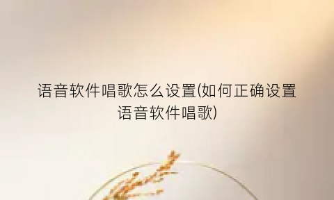 “语音软件唱歌怎么设置(如何正确设置语音软件唱歌)