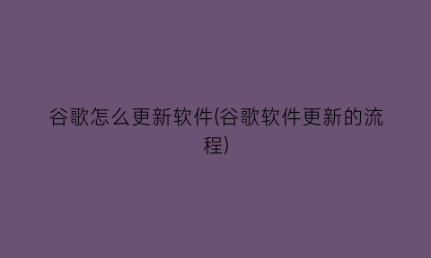 谷歌怎么更新软件(谷歌软件更新的流程)