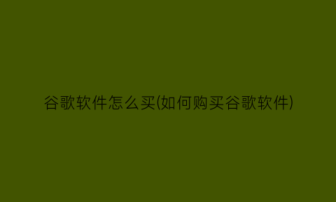 谷歌软件怎么买(如何购买谷歌软件)