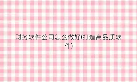 财务软件公司怎么做好(打造高品质软件)