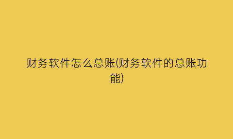 财务软件怎么总账(财务软件的总账功能)