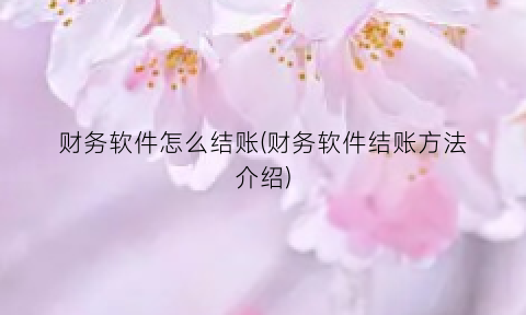 财务软件怎么结账(财务软件结账方法介绍)