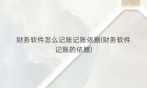 财务软件怎么记账记账依据(财务软件记账的依据)