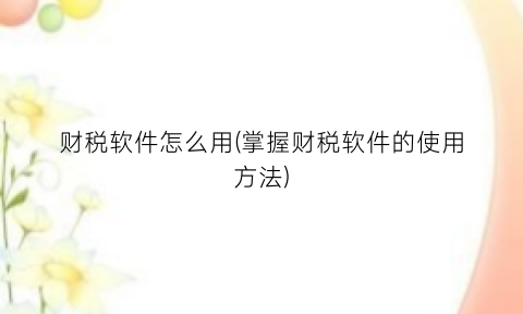 “财税软件怎么用(掌握财税软件的使用方法)