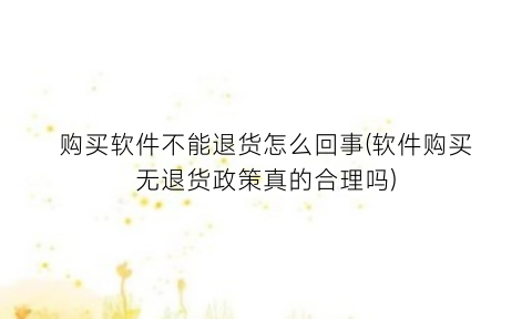购买软件不能退货怎么回事(软件购买无退货政策真的合理吗)