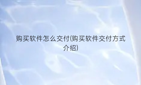 购买软件怎么交付(购买软件交付方式介绍)