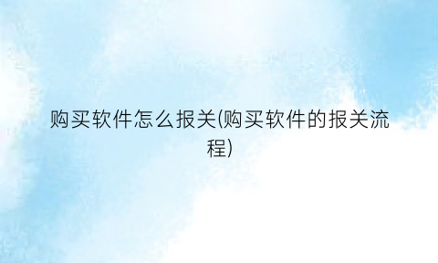 “购买软件怎么报关(购买软件的报关流程)