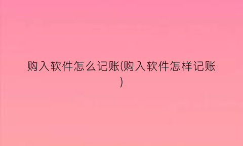 购入软件怎么记账(购入软件怎样记账)