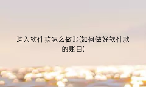 “购入软件款怎么做账(如何做好软件款的账目)