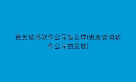 贵友玻璃软件公司怎么样(贵友玻璃软件公司的发展)
