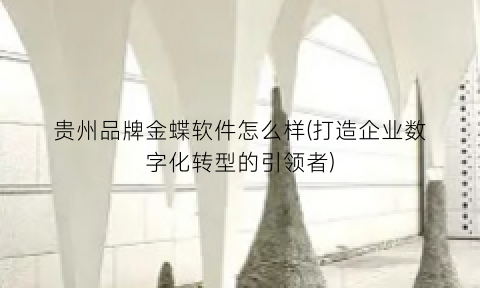 “贵州品牌金蝶软件怎么样(打造企业数字化转型的引领者)